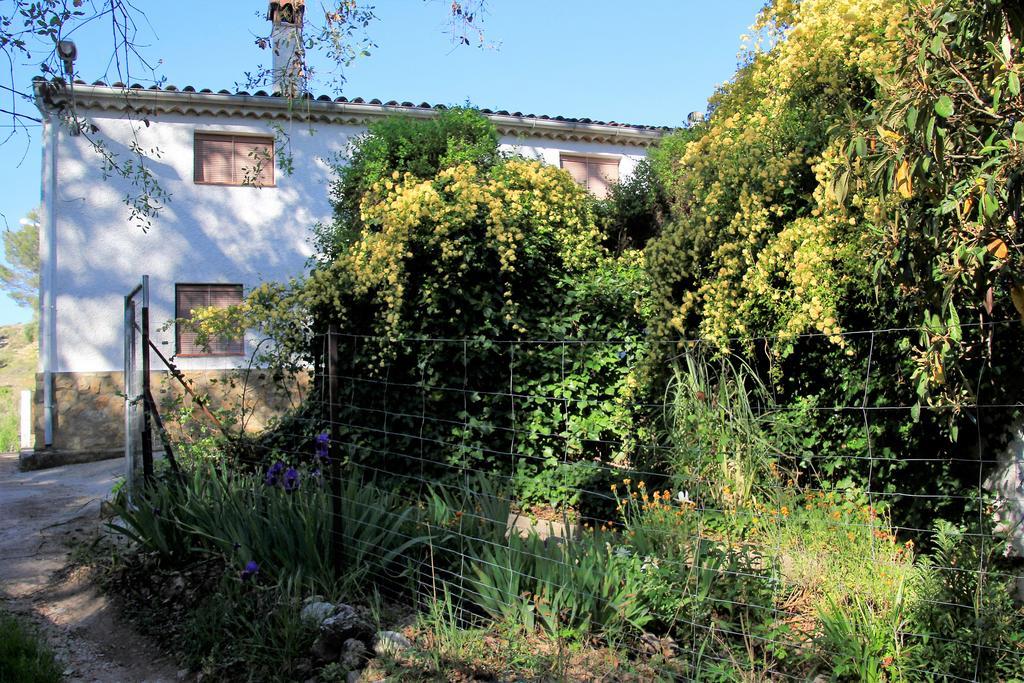 Mesoncillo Neo Vila Hornos Exterior foto