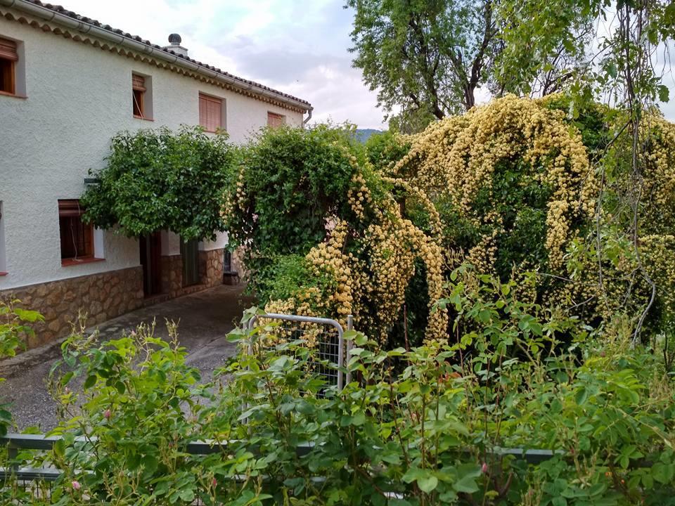 Mesoncillo Neo Vila Hornos Exterior foto