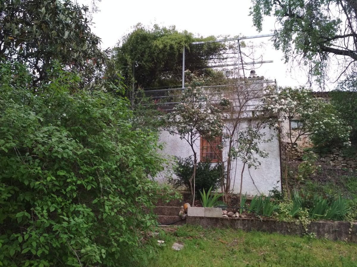Mesoncillo Neo Vila Hornos Exterior foto